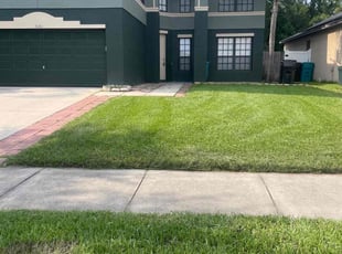 Sean P.'s lawn care service result