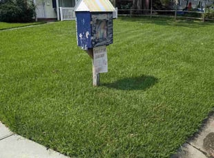 Ngoc B.'s grass maintenance service result