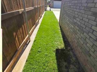 Linda P.'s turf care service result