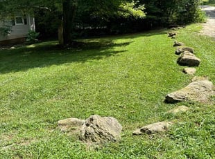 ADRIAN B.'s lawn maintenance service result