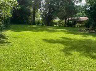 Katie T.'s lawn care services service result