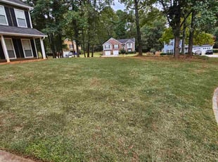 Stephanie M.'s lawn care services service result