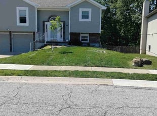 Claudia S.'s lawn service service result
