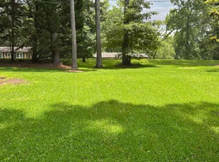 Matthew S.'s grass cutting service result