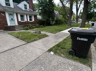 Carolyn D.'s turf maintenance service result