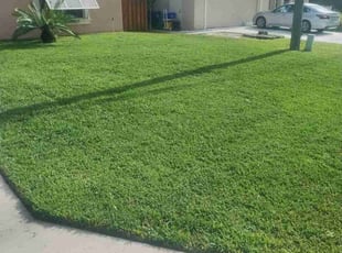 Otto G.'s lawn maintenance service result