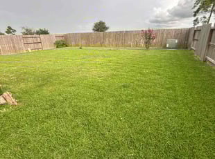 Jaymes A.'s lawn care services service result