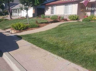 James C.'s turf maintenance service result