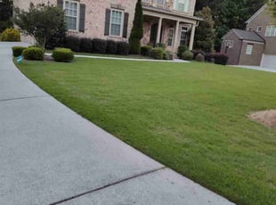 Towanda J.'s lawn care service result
