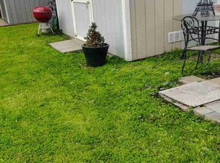 Mark S.'s lawn care services service result