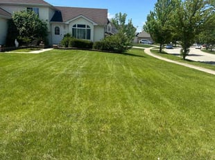 Tracey S.'s lawn care service result