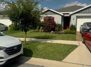 Aakash T.'s grass cutting service result