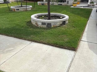 Heather D.'s grass maintenance service result