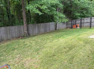 Alyssa H.'s grass cutting service result