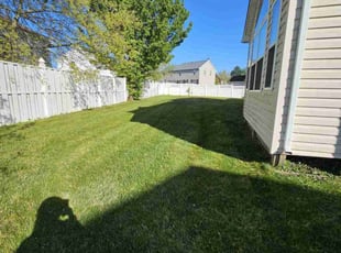 Tony W.'s lawn care services service result