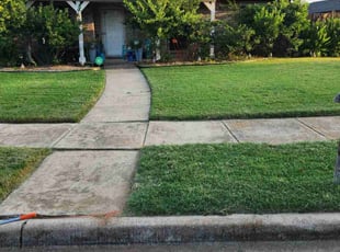 Katriechia J.'s lawn maintenance service result