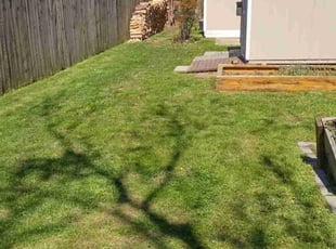 Ron R.'s turf care service result