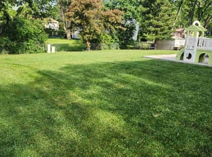 Rose S.'s lawn care service result