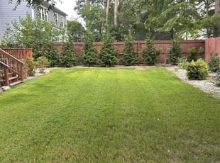Emily H.'s lawn care service result
