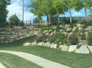 Liz C.'s turf care service result