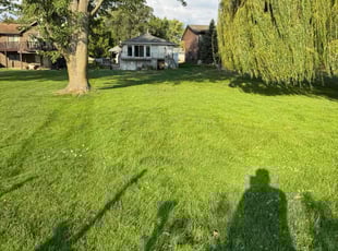 Carolyn A.'s lawn care services service result
