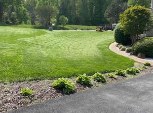 teresa L.'s grass cutting service result