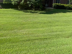 Christine R.'s lawn care services service result