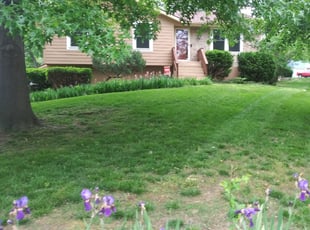 Eve H.'s Bush Trimming service result