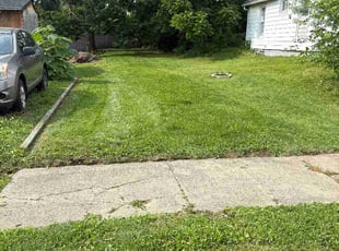 Ingrid C.'s turf care service result