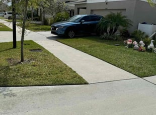 Ed D.'s turf care service result
