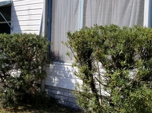 Aaron Z.'s Bush Trimming service result