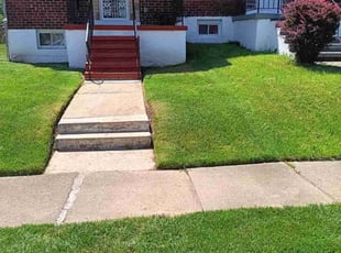 Eugenia H.'s grass cutting service result