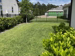 Greg G.'s grass cutting service result