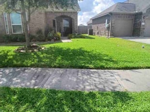Vince C.'s grass cutting service result
