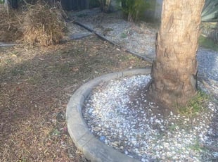 Joann B.'s Garden Maintenance service result