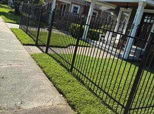 Daneil F.'s lawn care service result