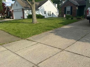 Cecily B.'s grass maintenance service result