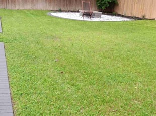 Ashlee C.'s lawn service service result