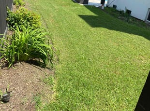 Cindy S.'s yard maintenance service result