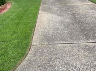 Michael M.'s lawn service service result