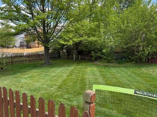 Holly M.'s turf maintenance service result