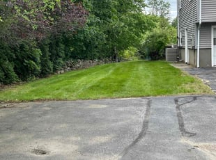 Ben V.'s lawn care services service result
