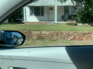 Deena T.'s turf care service result