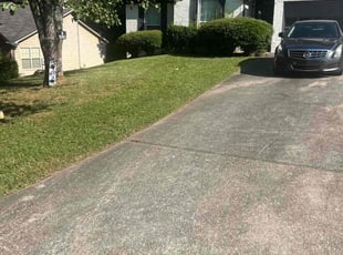 Debbi R.'s grass maintenance service result