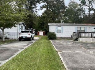 Angela V.'s turf care service result