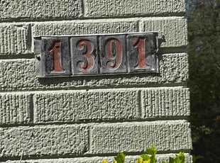 Dave N.'s lawn care service result