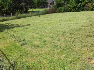 John P.'s grass maintenance service result
