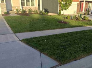 Todd W.'s gardening service service result