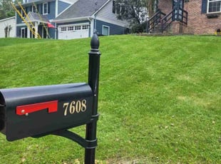 Shazeen F.'s grass cutting service result