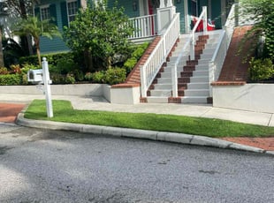 Sandra F.'s turf care service result